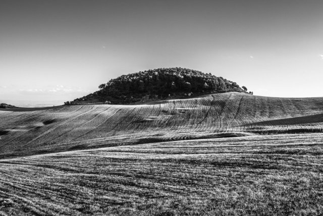 Colline. Route el Kef - Nebeur, 2014.