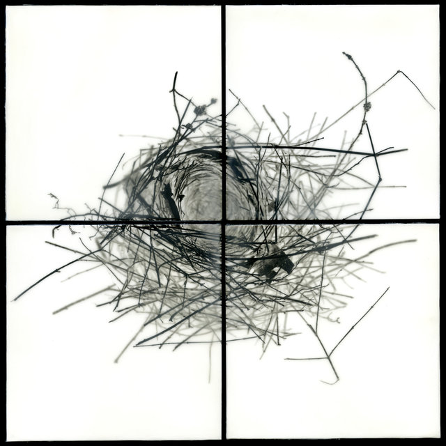 Nest I