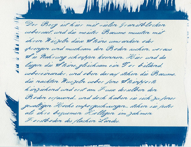 Heinrich Heine, Die Harzreise (Fragment)