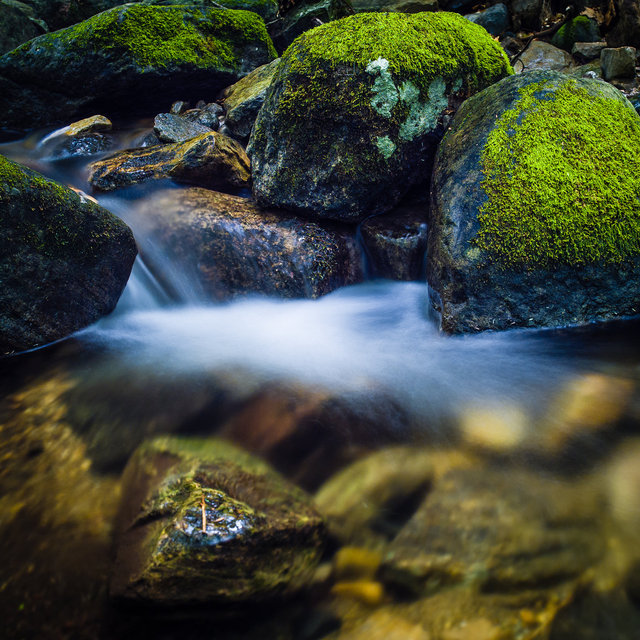 Mossy rocks