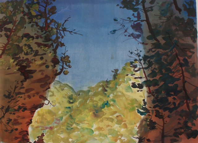 Gorge Walls- Ithaca 22 x 29"