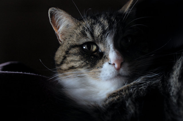 DSC_5621.JPG