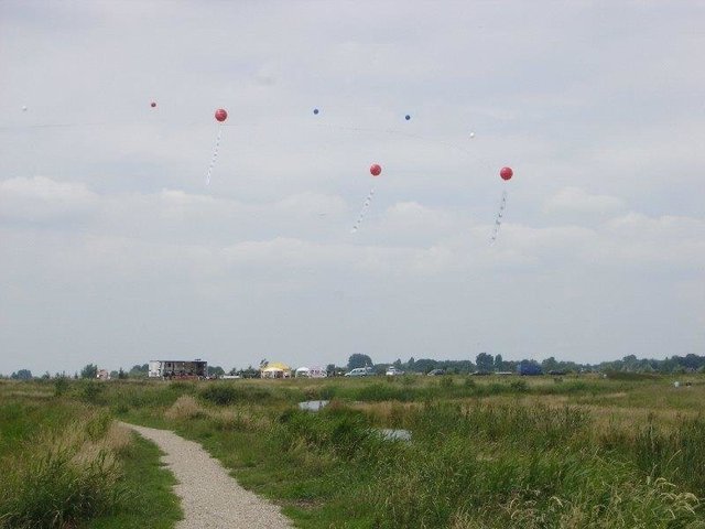 21061.jpg