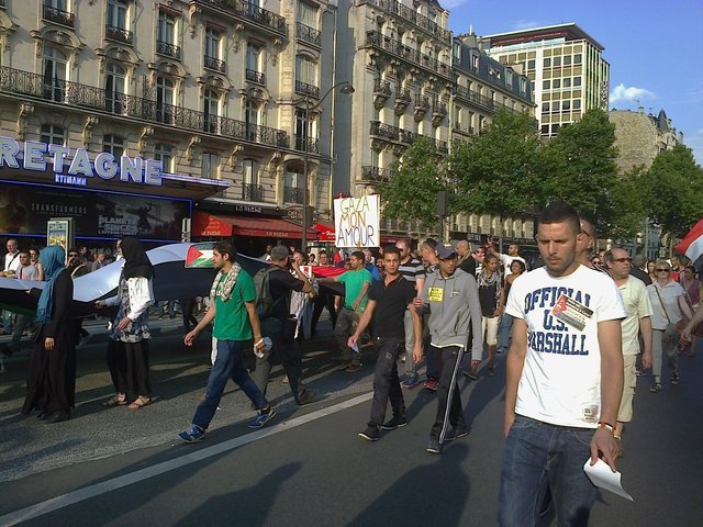 Manifestation pro-palestinienne