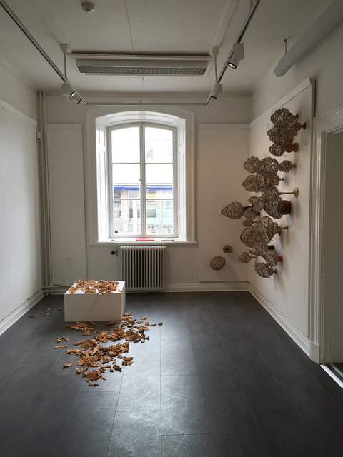 Installation made of wooden objects and rattan. 2015