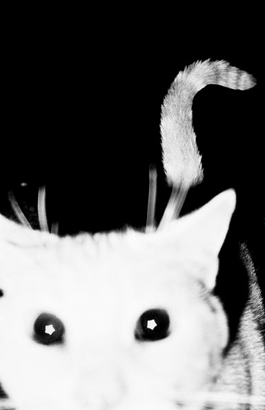 Picture 9.png