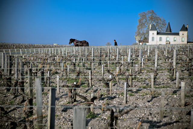Margaux19 © Laurent Gazal.jpg