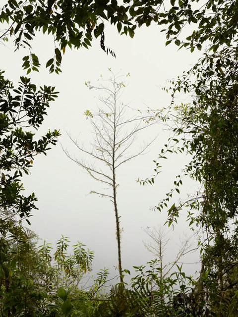 MachuPicchu_AK25.jpg