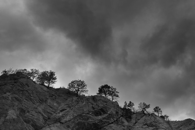 colorado-springs-landscape-black-and-white036.jpg