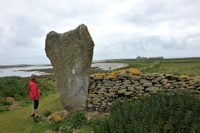 L'île est riche de quelques beaux menhirs comme celui-ci dénommé "l'éléphant"