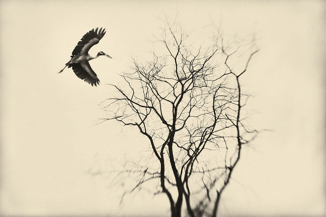 Encounter