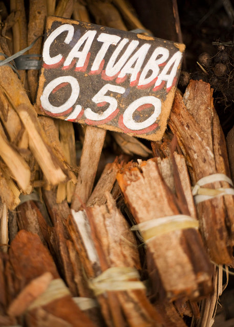 catuaba.jpg