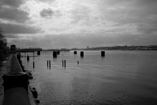 Abandoned Railroad Pier Pilings 