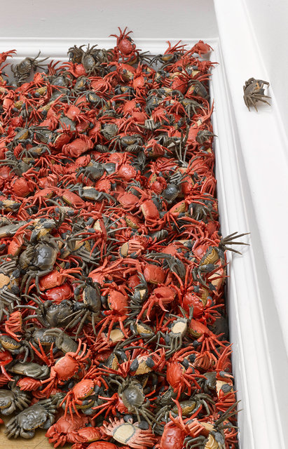 Ai Weiwei Exhibition