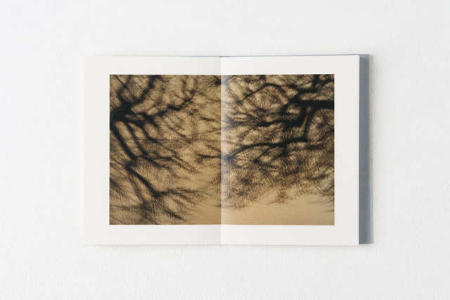 encounters, 33 pages, accordion book. Published by Datz Press in 2015.