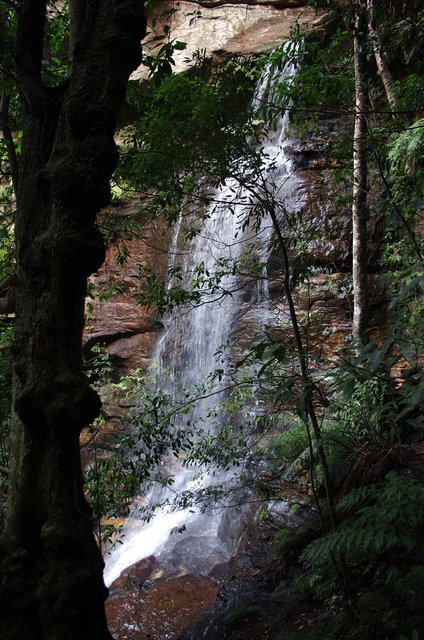 The National Trail Wentworth Falls (7) VB.jpg