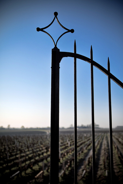 Margaux0 © Laurent Gazal.jpg