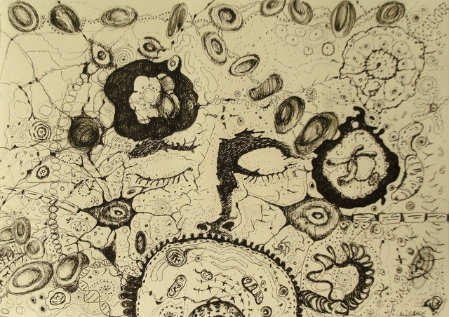 Evolution in the Process by Alison Gracie