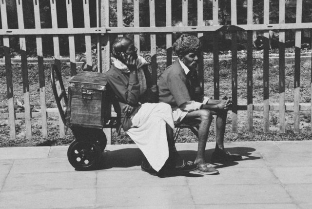 Coolies Rajastan x.jpg