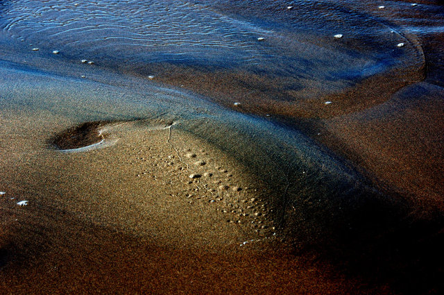 Delta del Ebro_0004.JPG