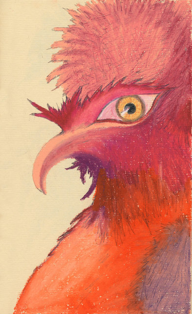 Pompous Rooster