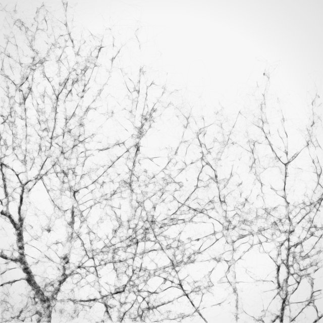 Trees 07
