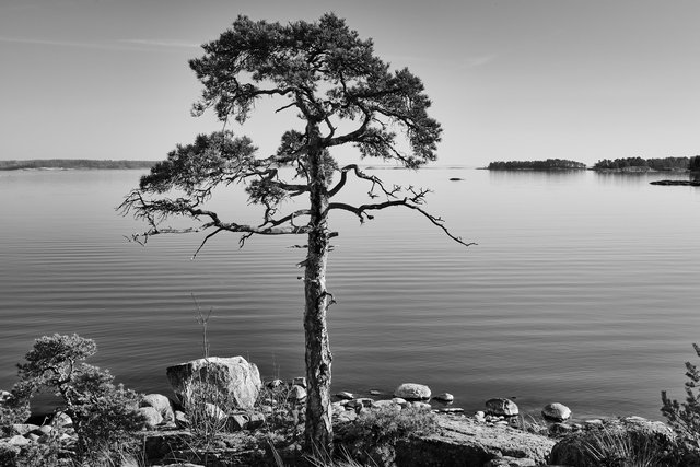 Pine View Klobbacka
