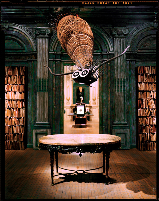 "Le Cabinet de Curiosites" by Thierry W. Despont