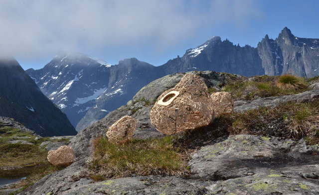 Installation woven of wood and rattan for 'Kunst i Natur* in Åndalsnes, Norway 2015