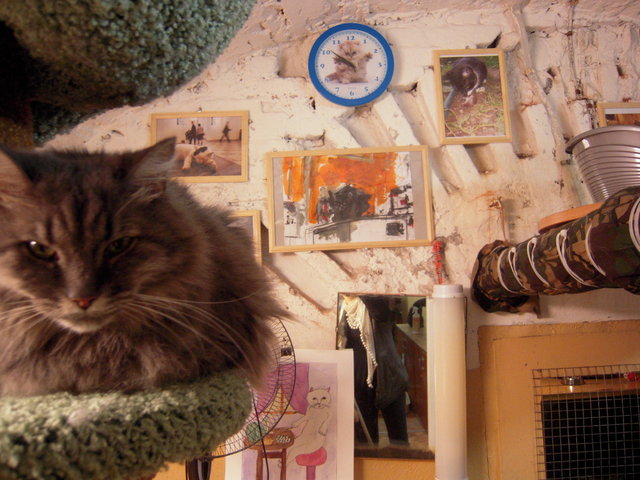 DSCN5938.JPG