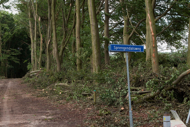 Stormschade 2010