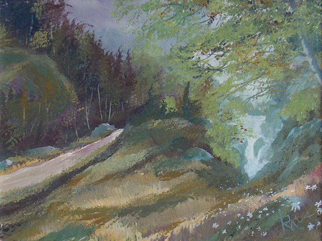 waterfall_road.JPG