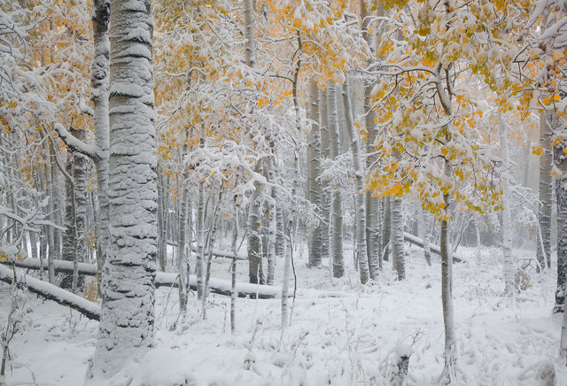 October Blizzard