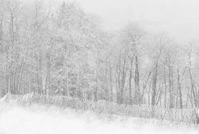 Snow Fence