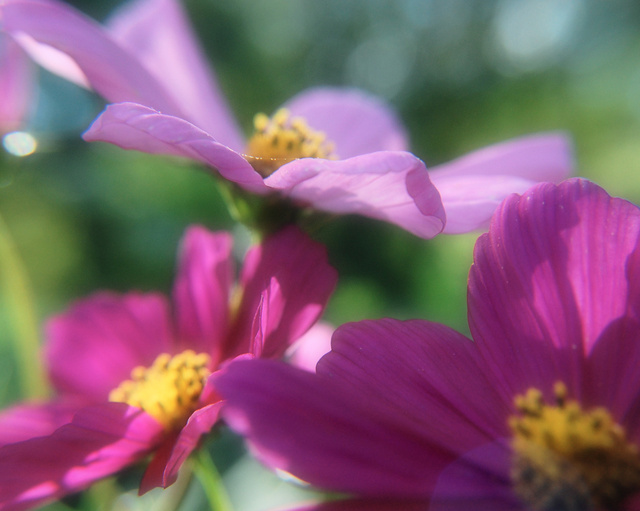 DSC_3468.JPG