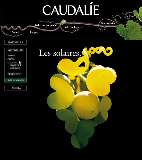 <font color="#aaa7a6">Introduction solaire.</font>