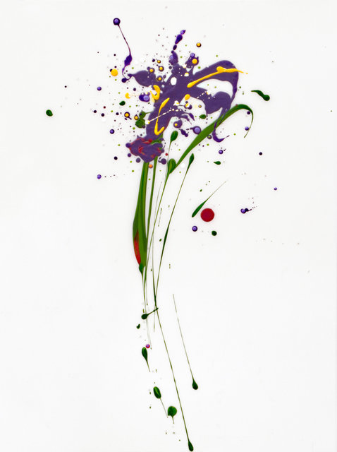 Flora VIII