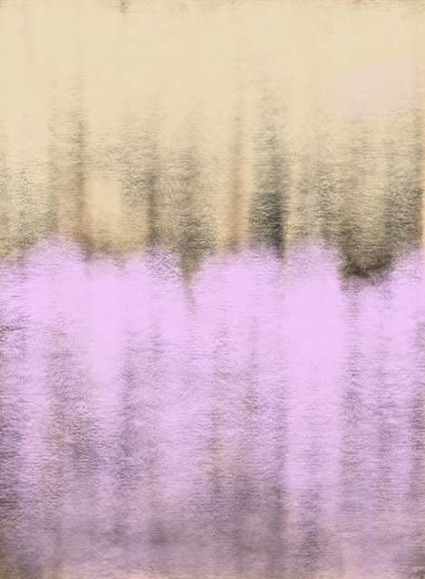 Mountain Mist, Deep Forest.