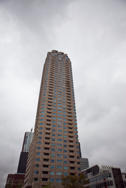_MG_8881.jpg