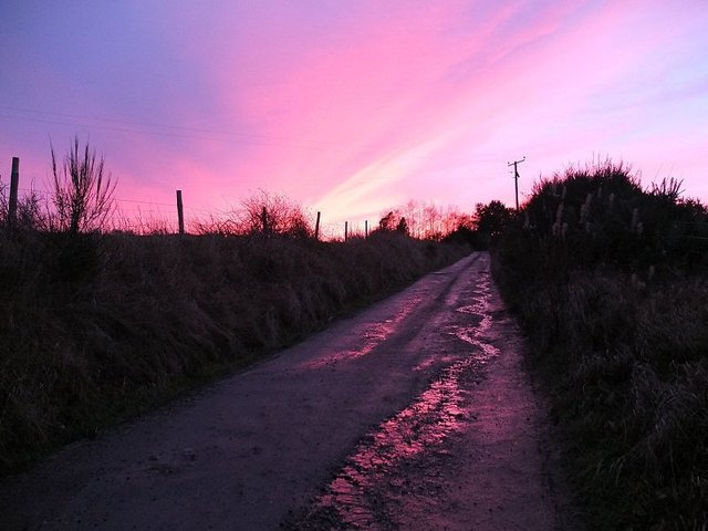 Into the Sunset by Alison Gracie