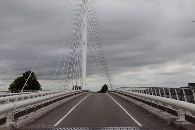 _MG_2812.jpg