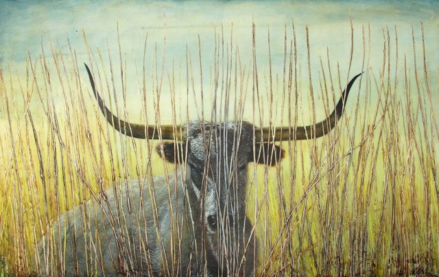 Bull's Eye