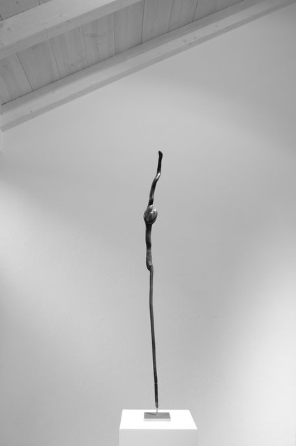L1001443 copy.jpg