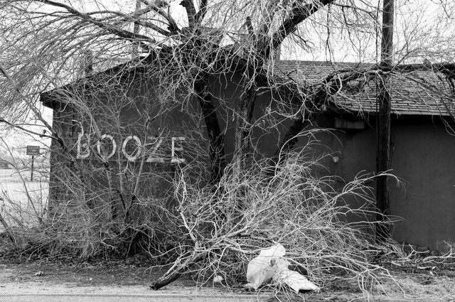 KeithSkeltonDesert (1 of 22).jpg