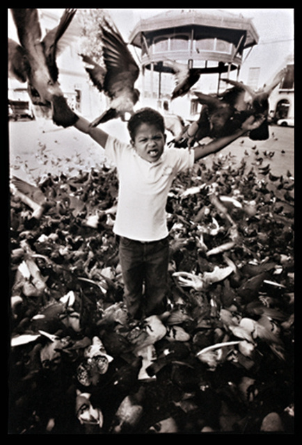J Pigeon Boy_8155.jpg