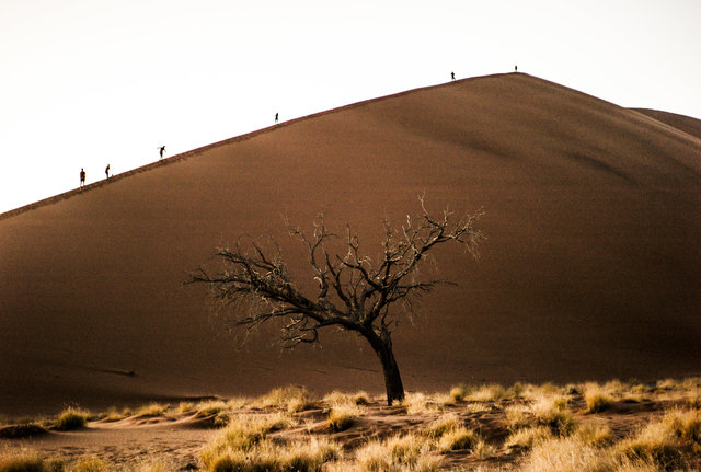 Dune 45, Namibia. 2013.