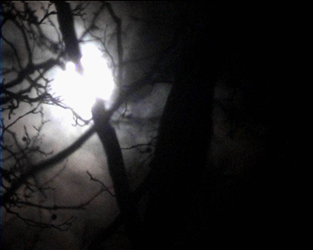 Nan Hoover La Luna 2002 (2 of 2)