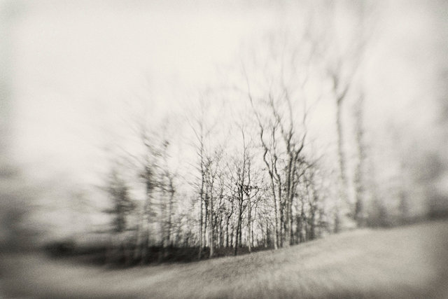 Dream of Solitude