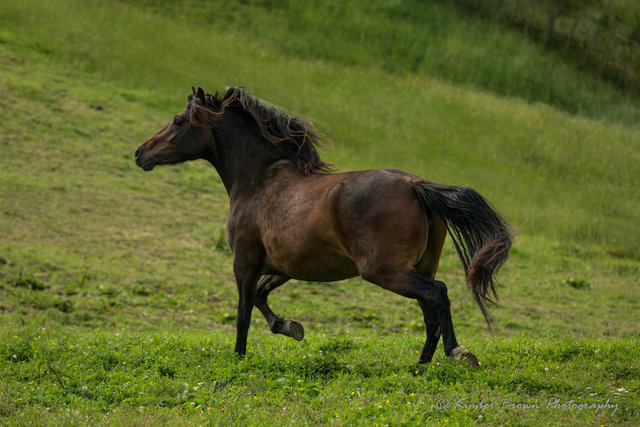 060C9062.jpg
