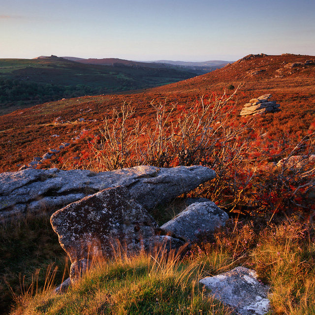 Near Saddle Tor